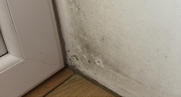 Damp surveys - Plasterhawks Damp surveys - Plasterhawks