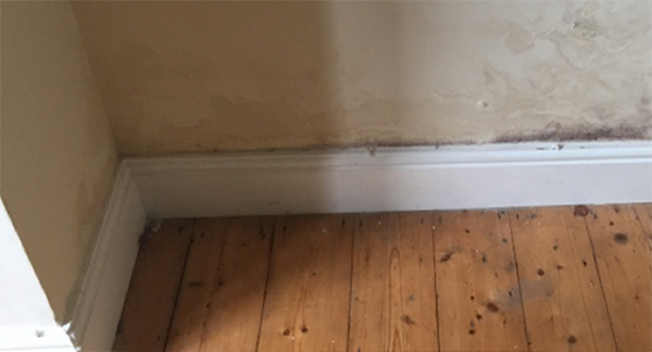 Damp surveys - Plasterhawks Damp surveys - Plasterhawks
